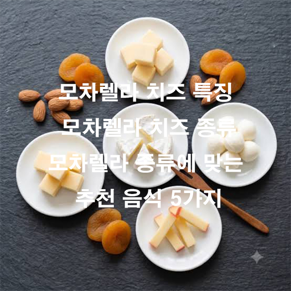 모차렐라 치즈 특징 모차렐라 치즈 종류 모차렐라 종류에 맞는 추천 음식 5가지
