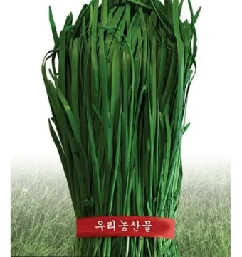 텃밭 부추 쪽파 재배 다년생 관리 수확주기 웃거름 월동_15