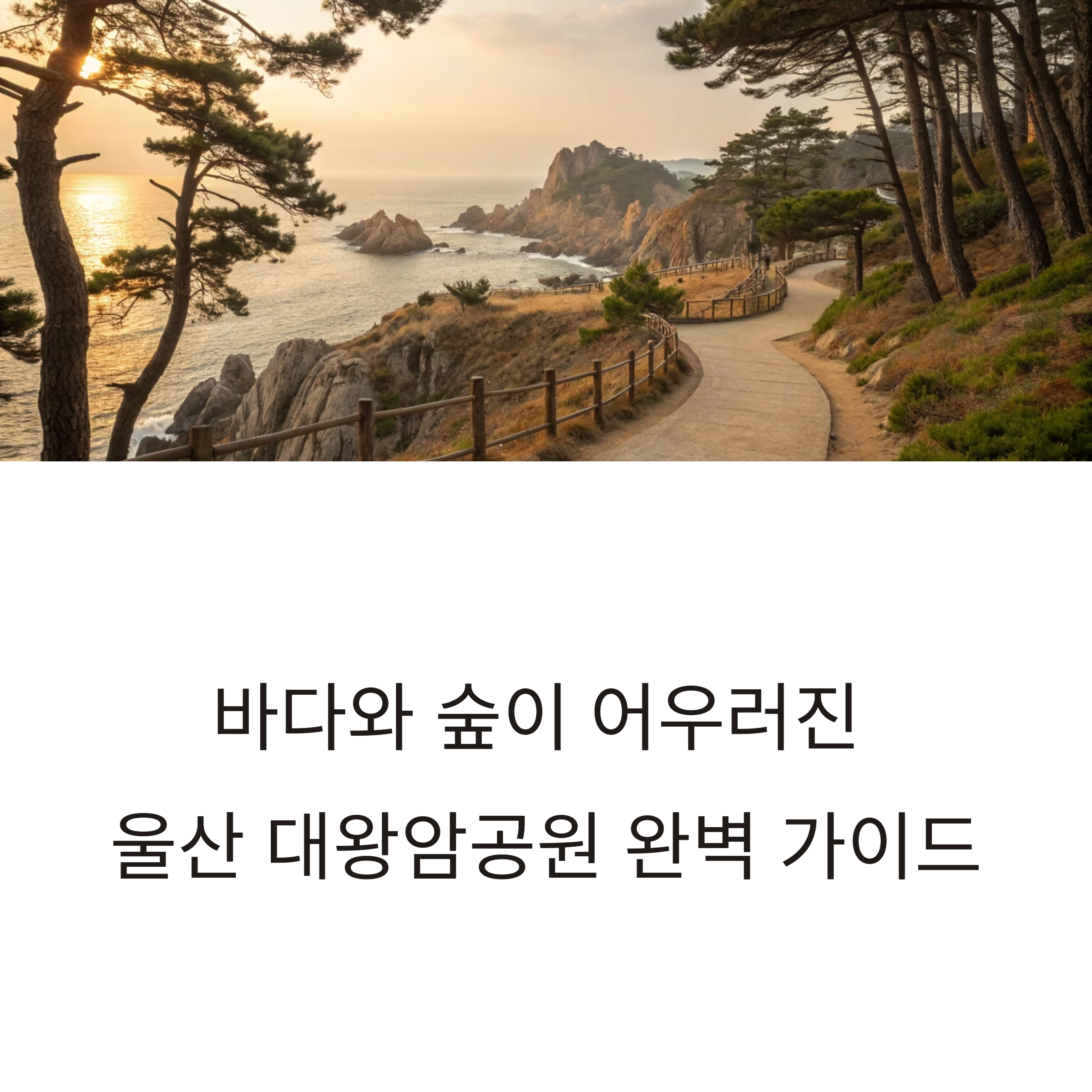 울산 대왕암공원 산책 코스