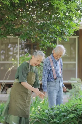 노부모 댁 선물 식물추천 물주기간단 종류 배치관리 팁_30