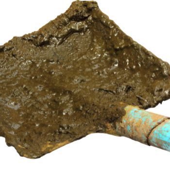 똥 꿈해몽 풀이 똥 만지는 꿈