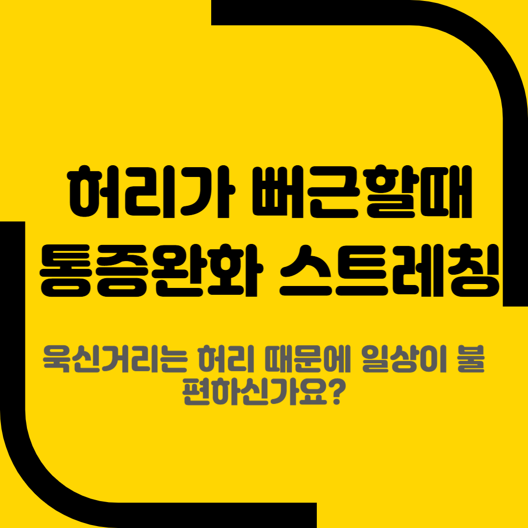 허리가 뻐근할때 통증완화 스트레칭