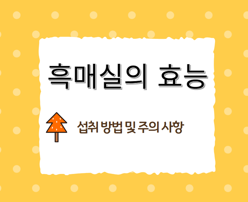 흑매실-효능-섭취방법-주의사항