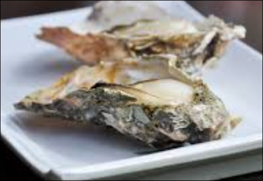 굴의 효능-8