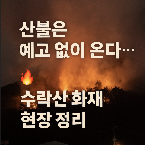 수락산 산불 현장 썸네일