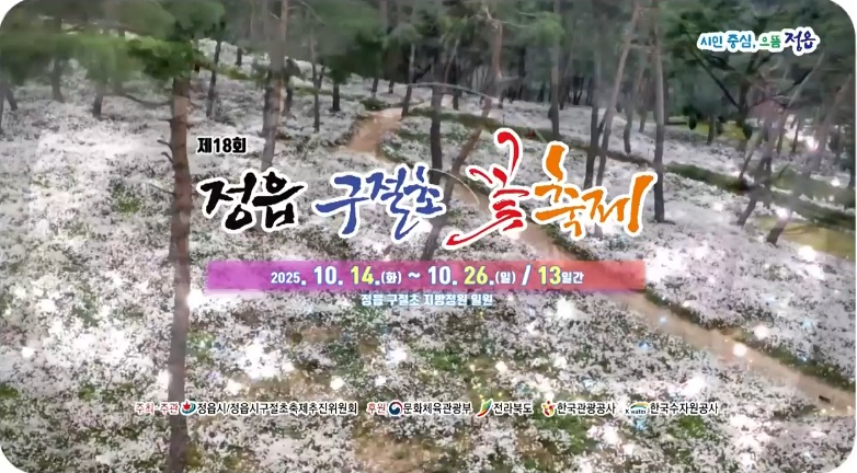 정읍 구절초꽃축제