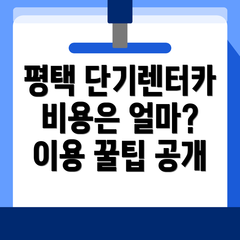 평택시 단기렌터카