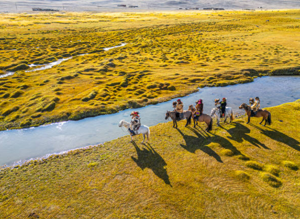 몽골의 푸른 초원 사진