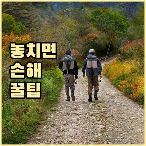 ESTA 수수료 인상 심사 기준 영향..