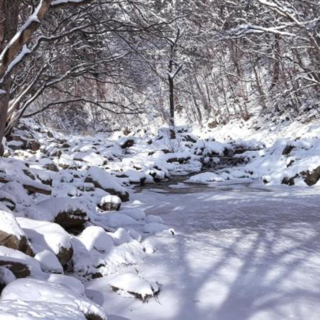겨울 여행 추천 관련 사진