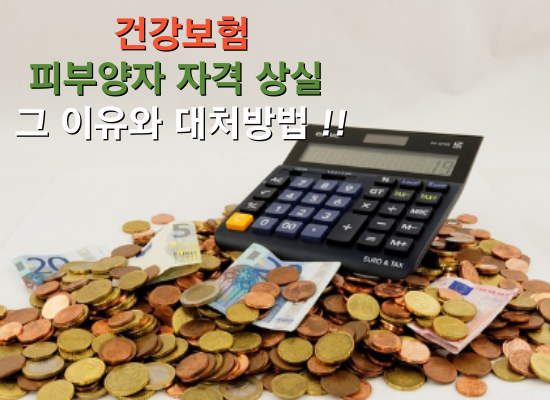 건강보험 피부양자 자격상실 이유와 대처방법