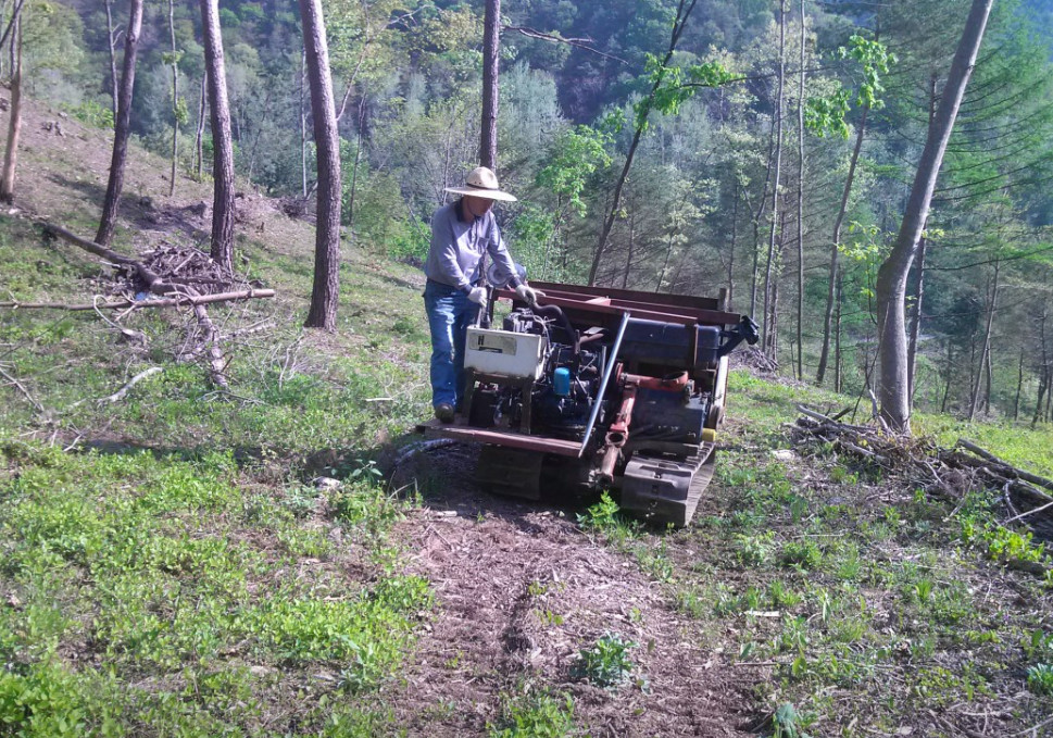 극한직업 명이나물