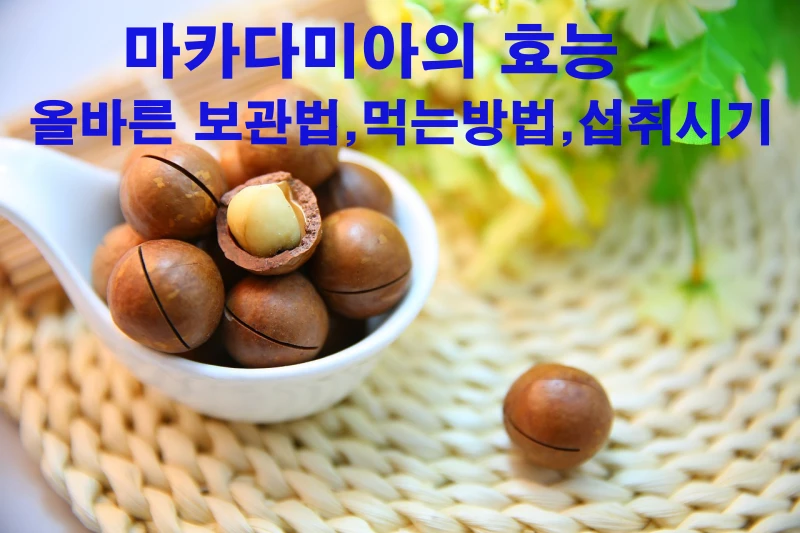 마카다미아-효능-보관법-먹는방법-섭취시기-썸네일