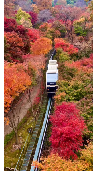 모노레일