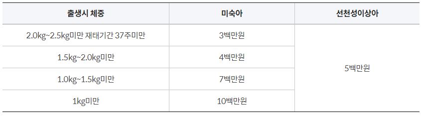 지원금액
