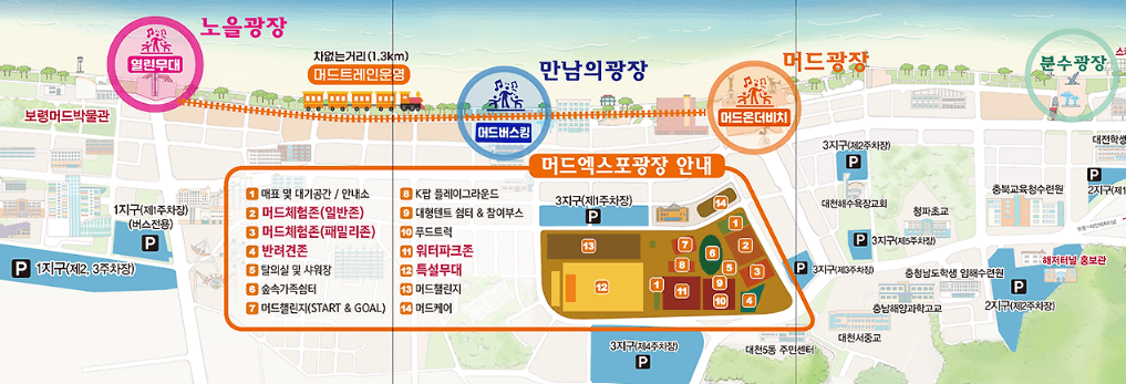 2024 보령머드축제 장소