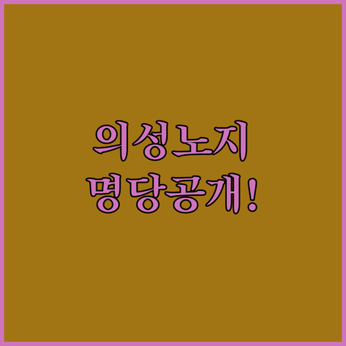 의성 사곡교 노지 캠핑 명당 자리와 ..