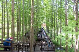 청남대 관람 예약