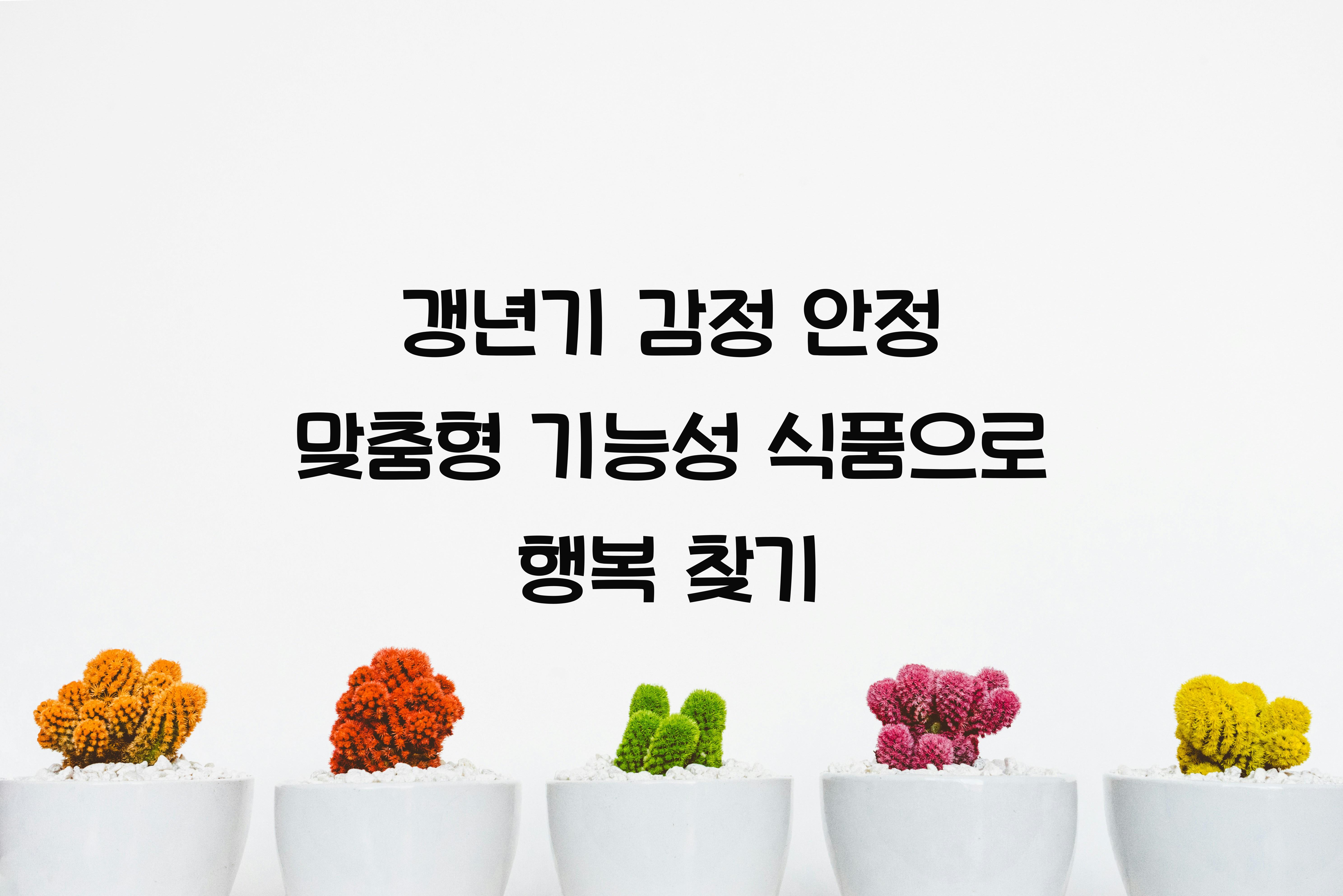 갱년기 감정 안정 맞춤형 기능성 식품