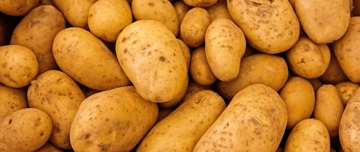 칼륨이 많은 음식 사진 - 4