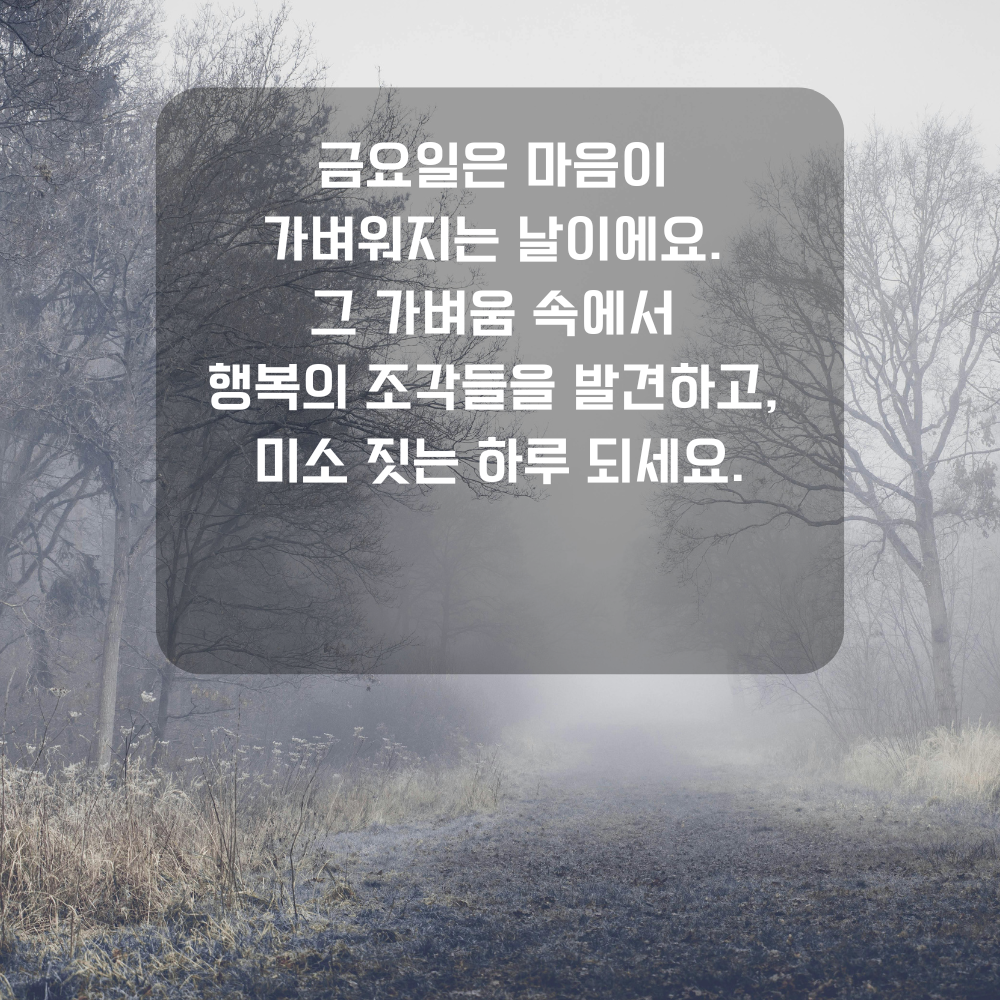 행복한 금요일 아침 인사말 문구 이미지 인사글 모음