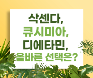 삭센다 vs 큐시미아 vs 디에타민, 어떤 약이 나에게 맞을까?