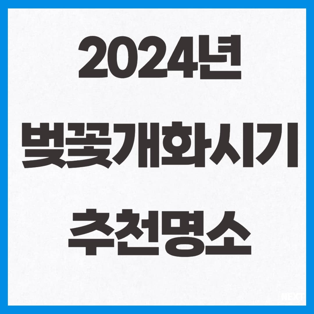 2024년 벚꽃개화시기 및 추천명소 사진