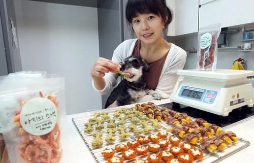 애견수제간식 창업 성공 비법과 시장 동향_3