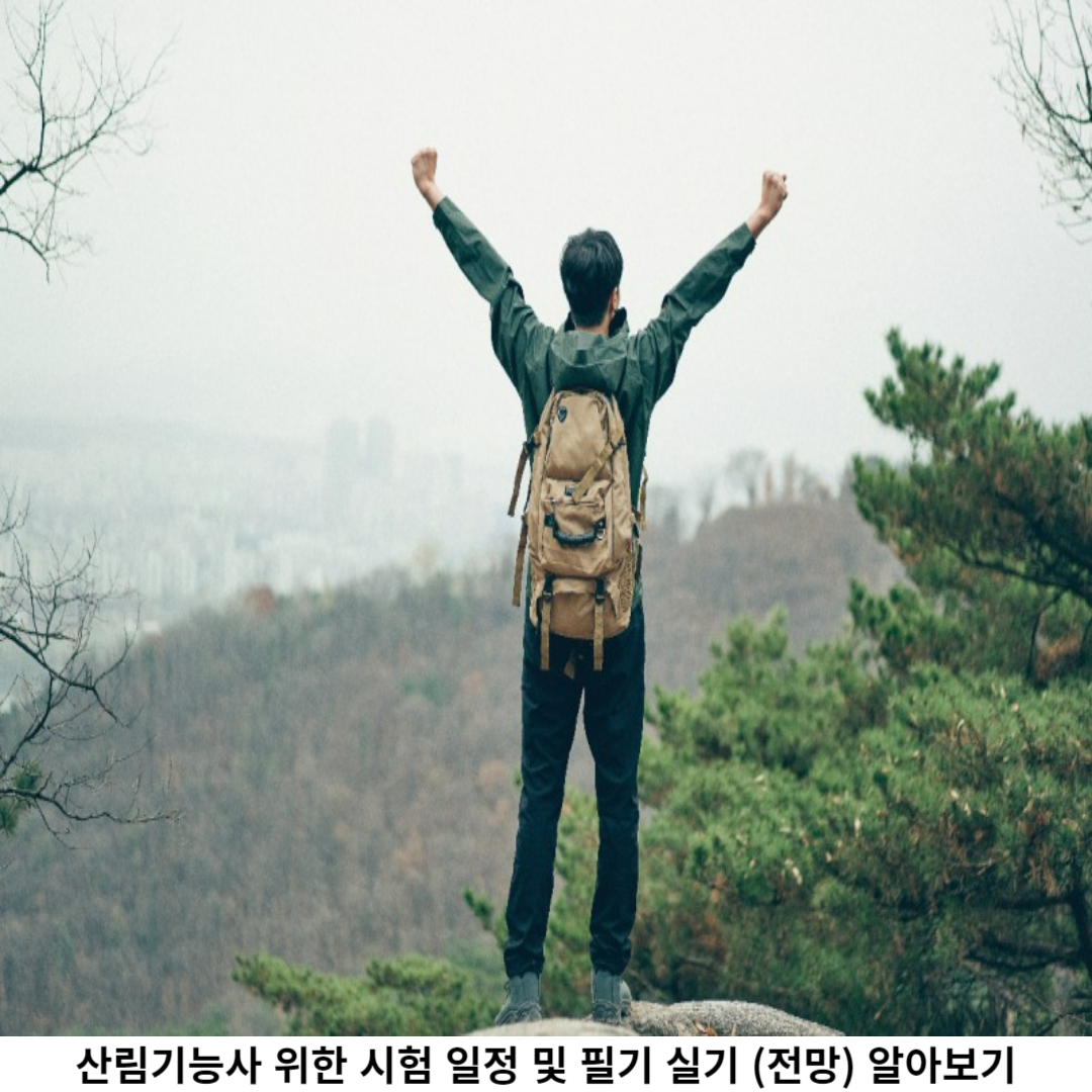 산림기능사 전망