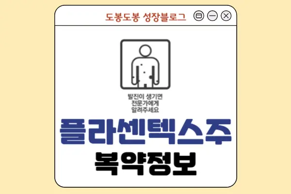 플라센텍스주 복약 정보 이미지