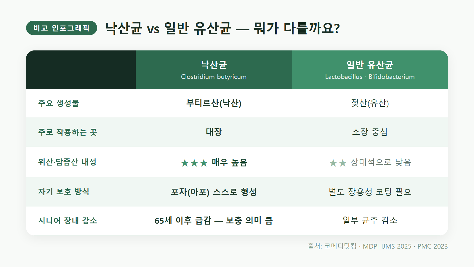 낙산균 vs 일반 유산균(락토바실러스·비피도박테리움) 비교 인포그래픽 — 생성물·작용 부위·위산 내성 차이