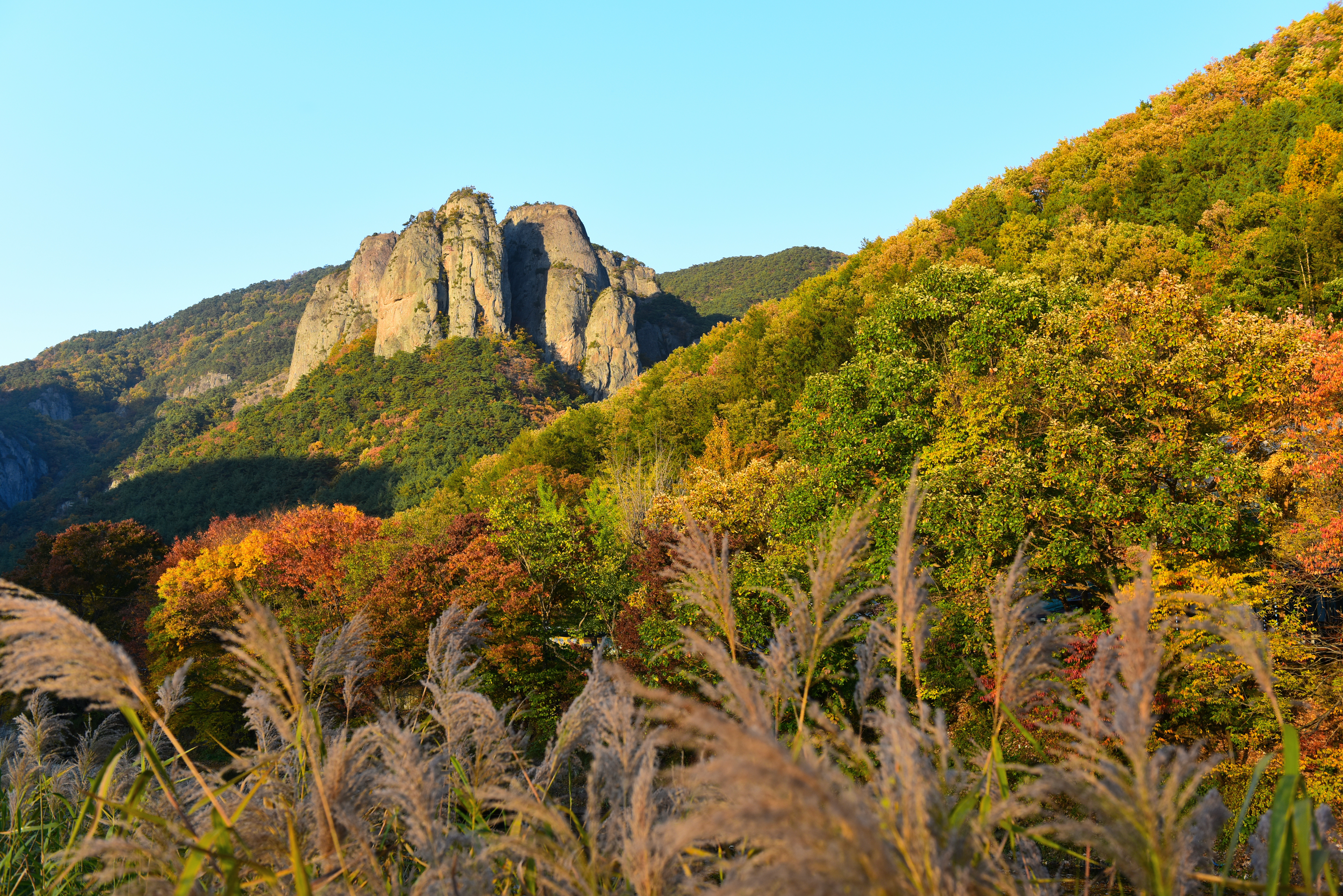 주왕산 단풍