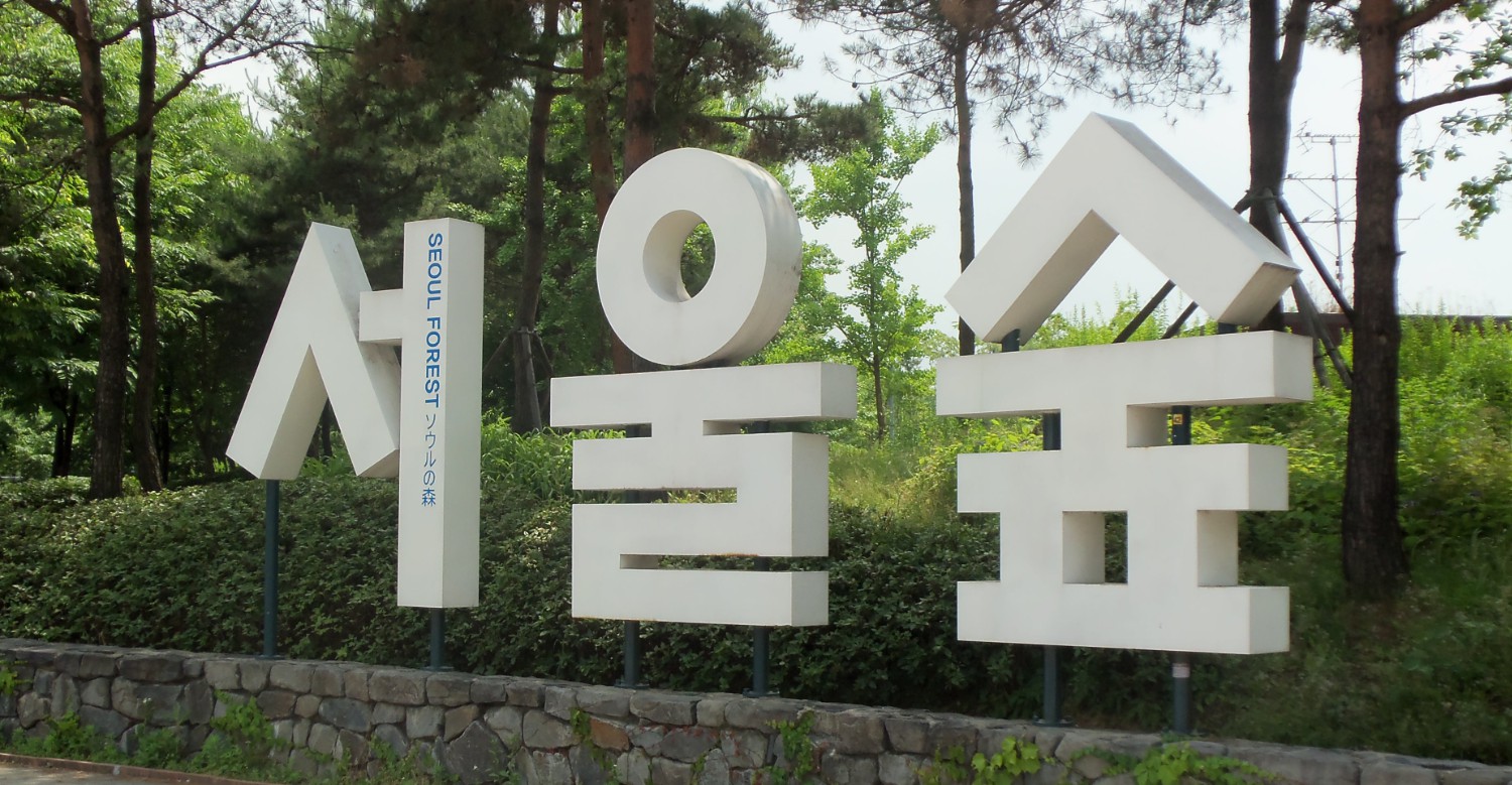 어버이날 서울 꽃 나들이 추천