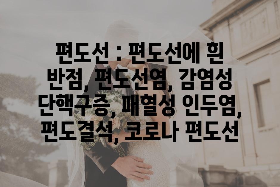 샘플 (67)