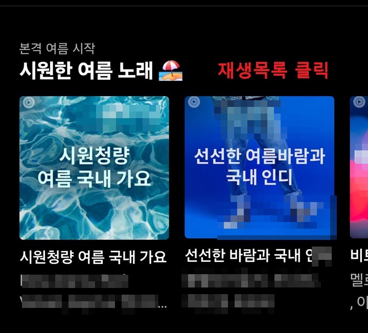 재생목록 보임