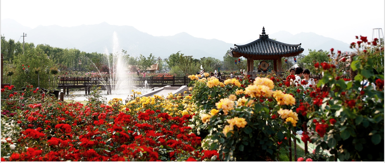 곡성세계장미축제