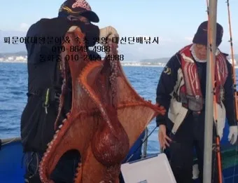 5월 동해 바다낚시 최고 추천 어종과 인기 포인트 완벽 총정리_9