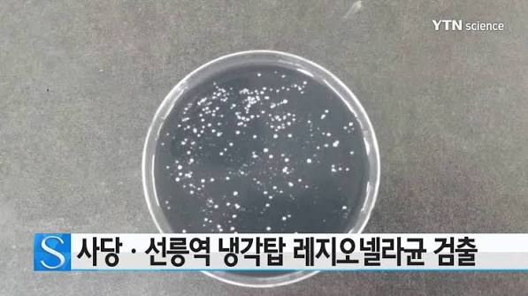 서울 레지오넬라균 검출