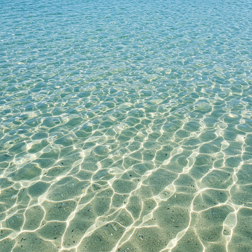 미세먼지 깨끗하게 씻는 방법