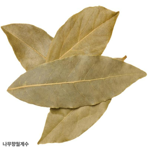월계수잎