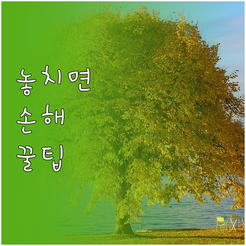 좁은 주방도 넓게! 냄비와 뚜껑 완벽..