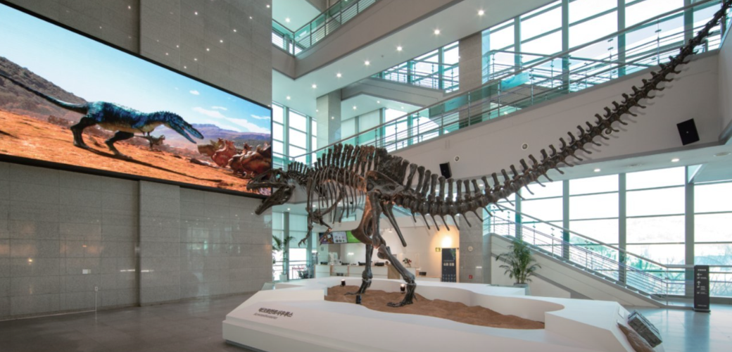 서울 실내 가볼만한곳 BEST 06 마곡 서울 식물원 코엑스 별마당 도서관 포함