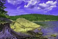 ESFP 유형 특징 분석