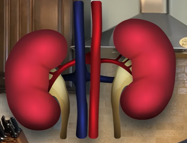 크레아티닌 정상수치