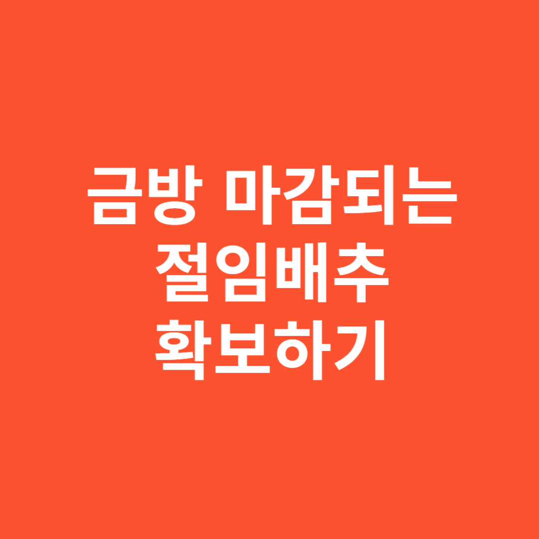 절임배추 확보하기