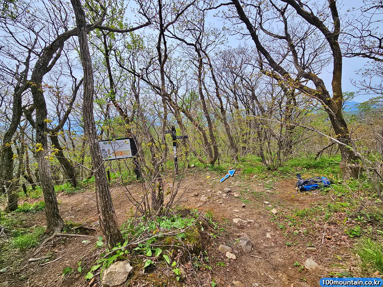 동대산 갈림길