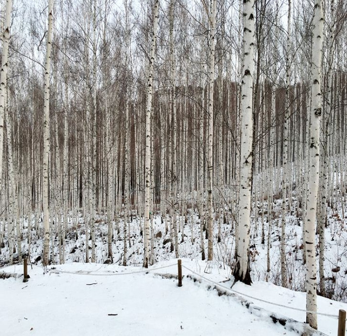 강원도 겨울 여행 명소 추천, 설경&middot;자연&middot;산행 BEST 4