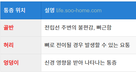 통증 증상