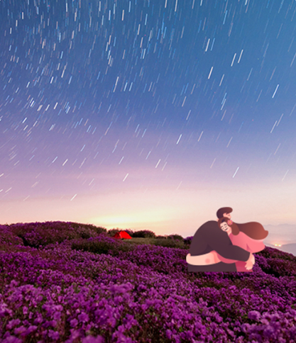 황매산 철쭉축제 실시간 개화상황