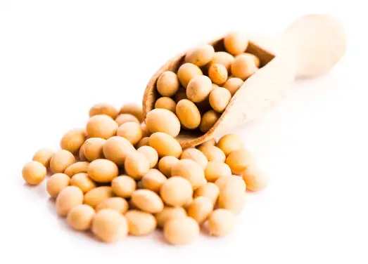 저혈압에 좋은 음식 피해야 할 나쁜 음식